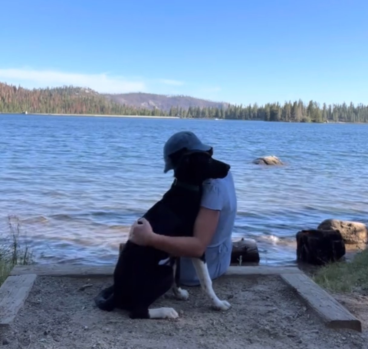 man hugging a dog