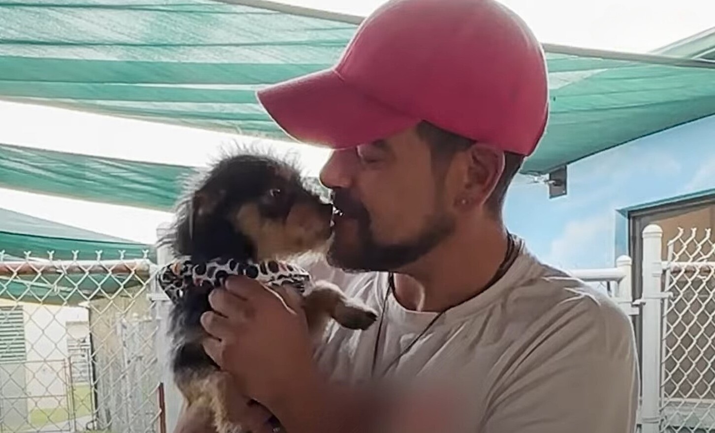 man kissing a dog