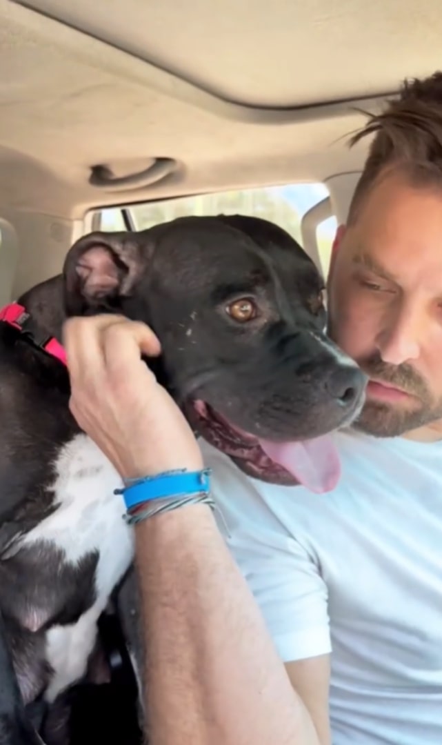 man petting a dog
