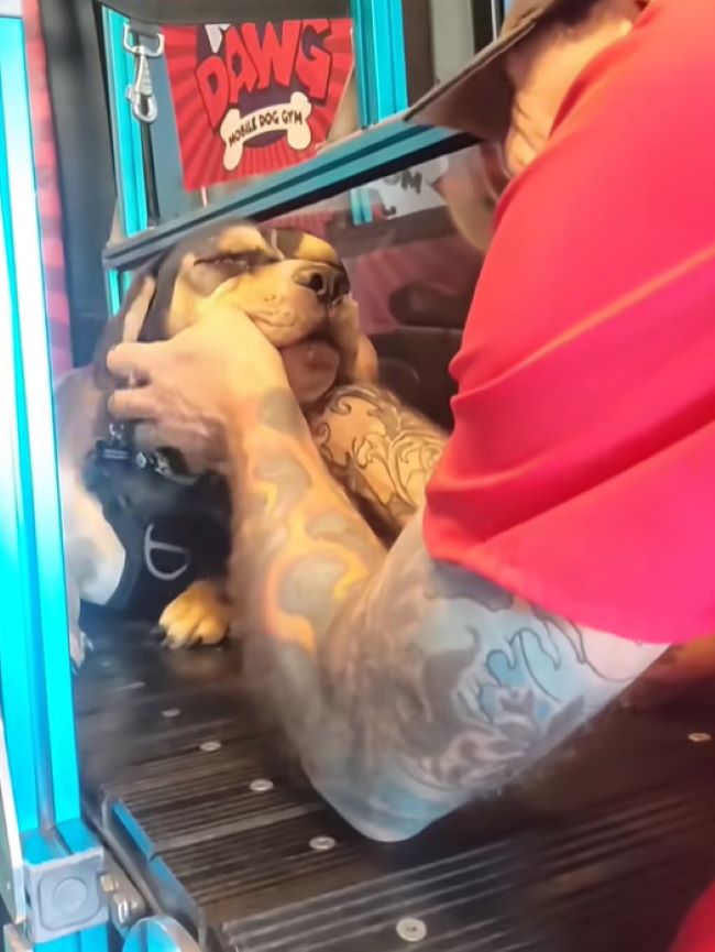 man playing with blind dog