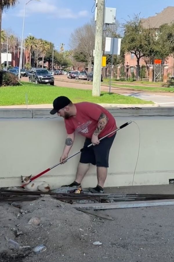 man saving dog on highway