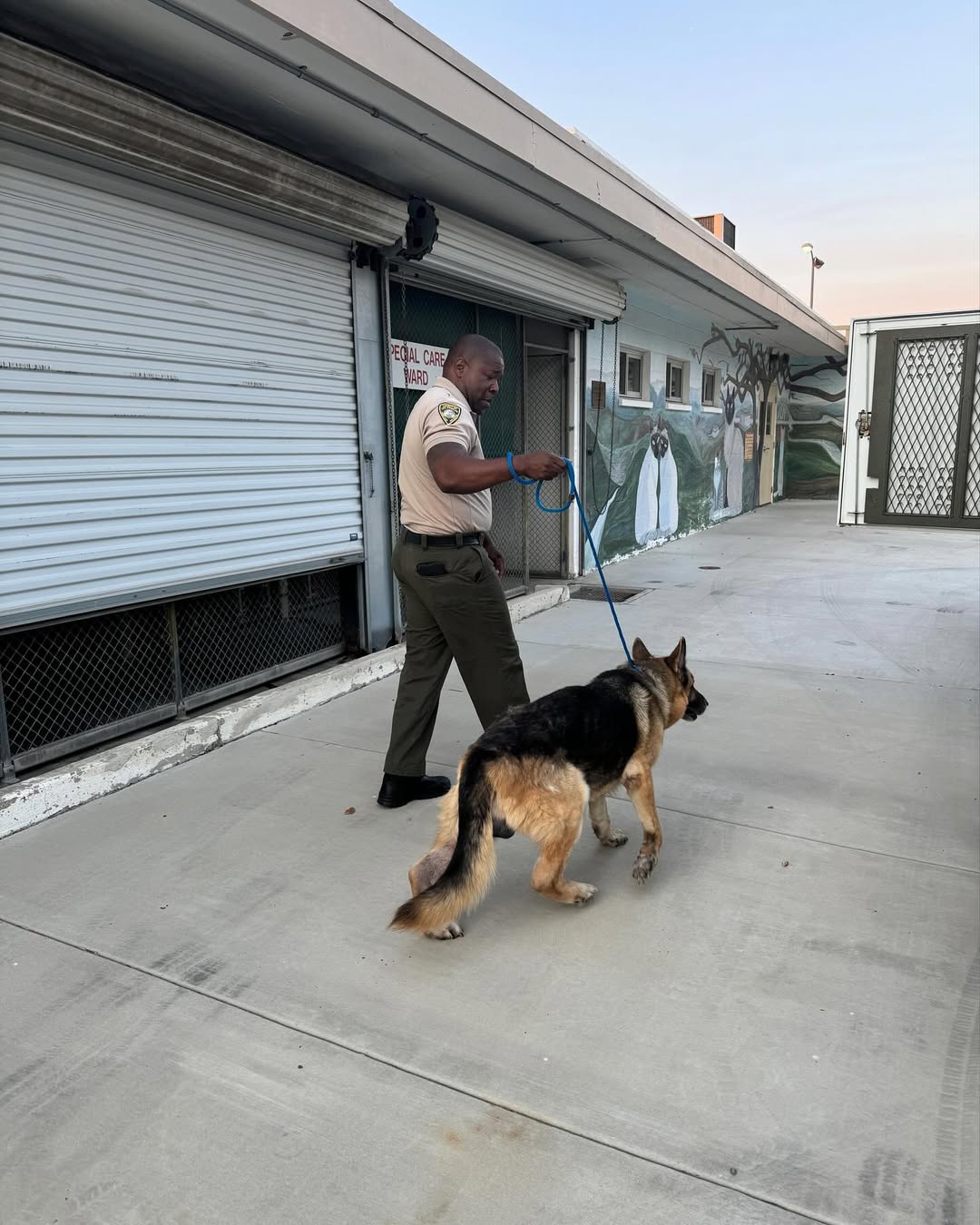 man walking a dog