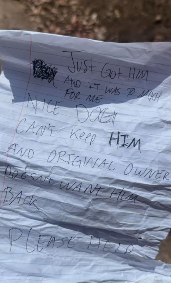note for tied dog