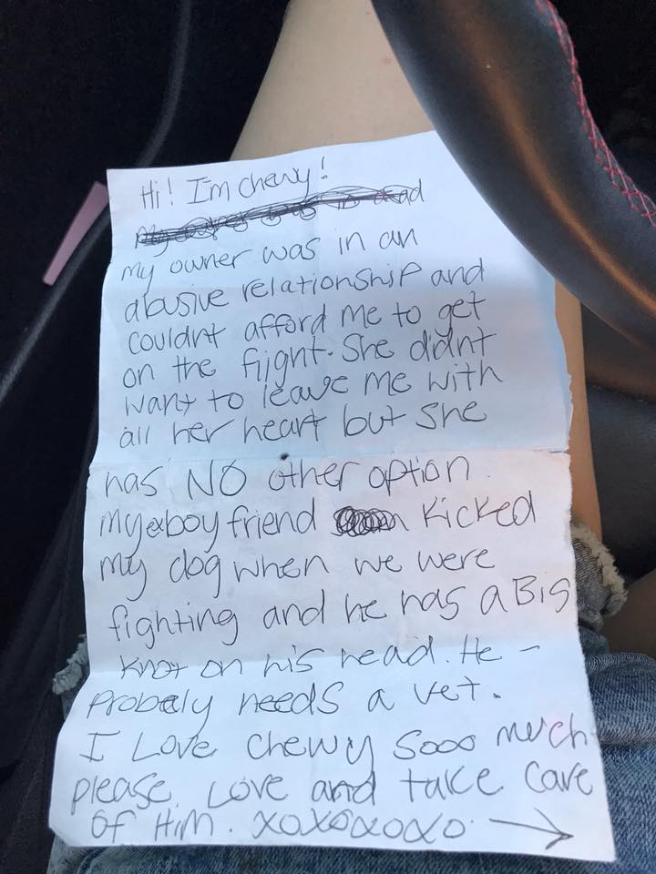 note for tiny dog