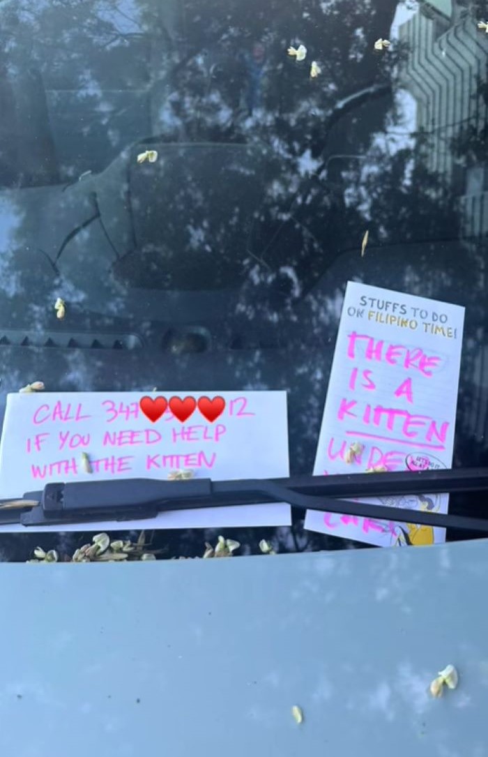 notes on car