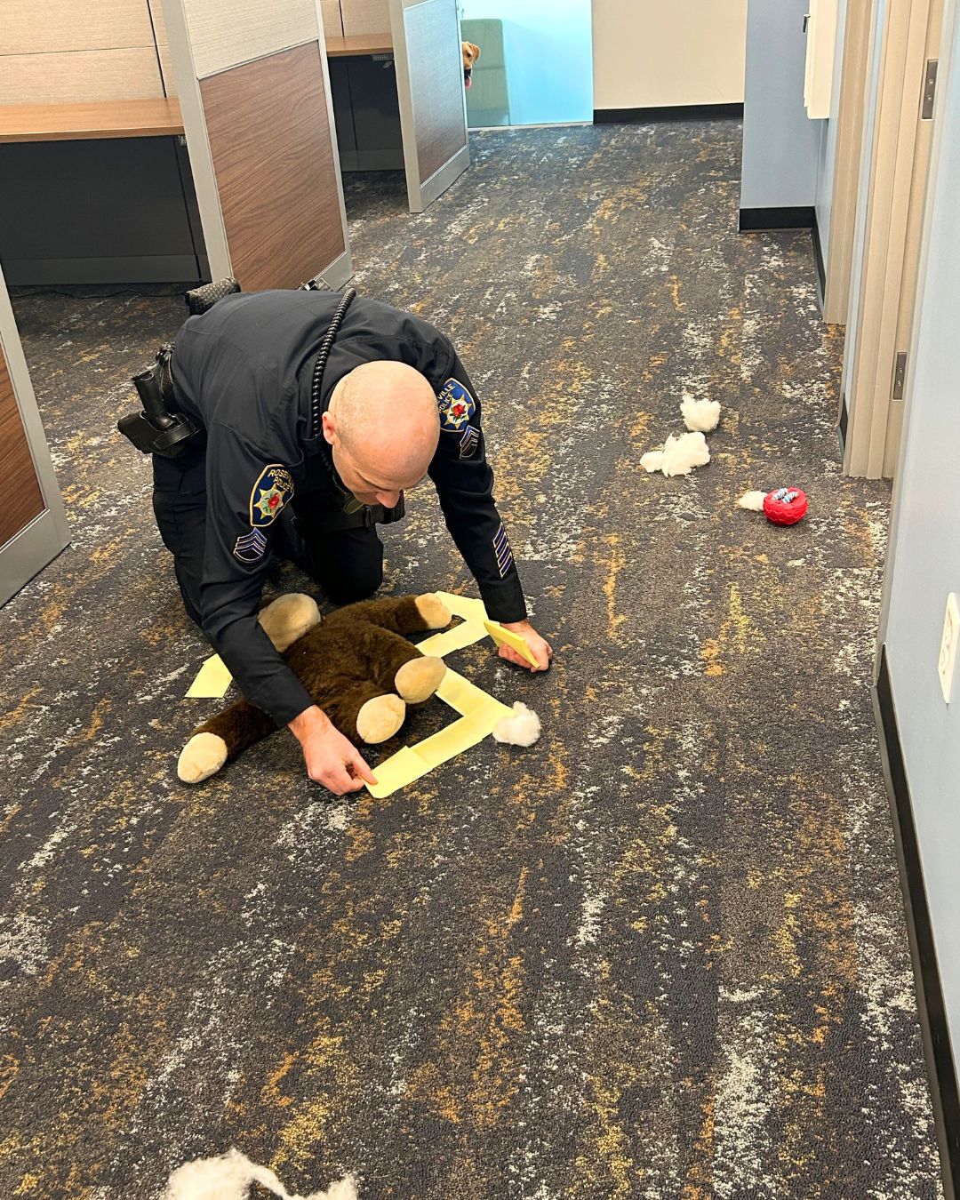 officer and stuffed animal