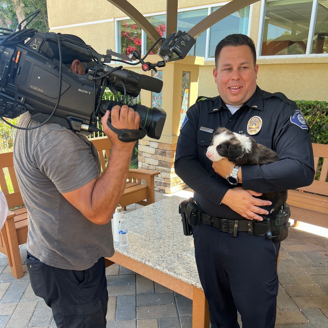 officer holding a dog