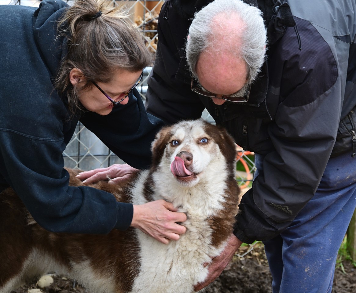 old couple and dog