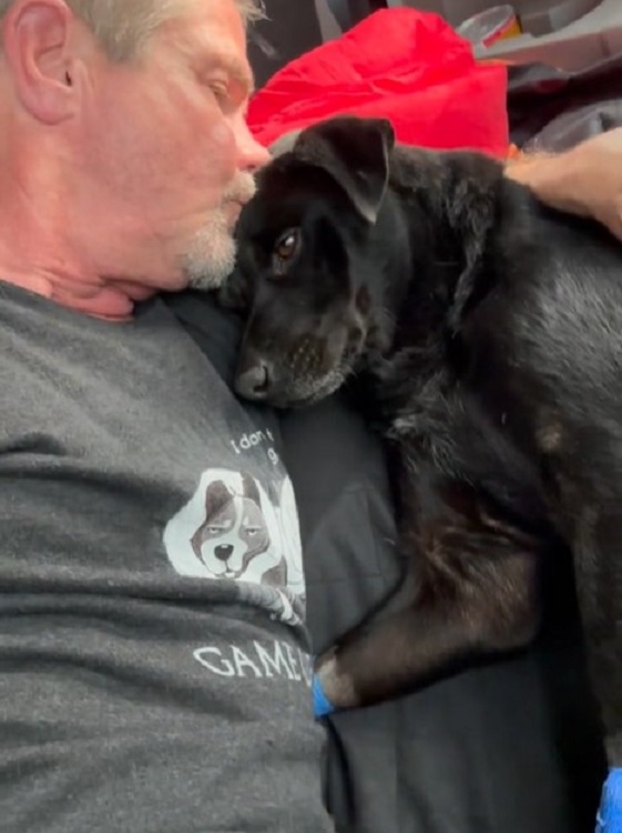old man and black dog
