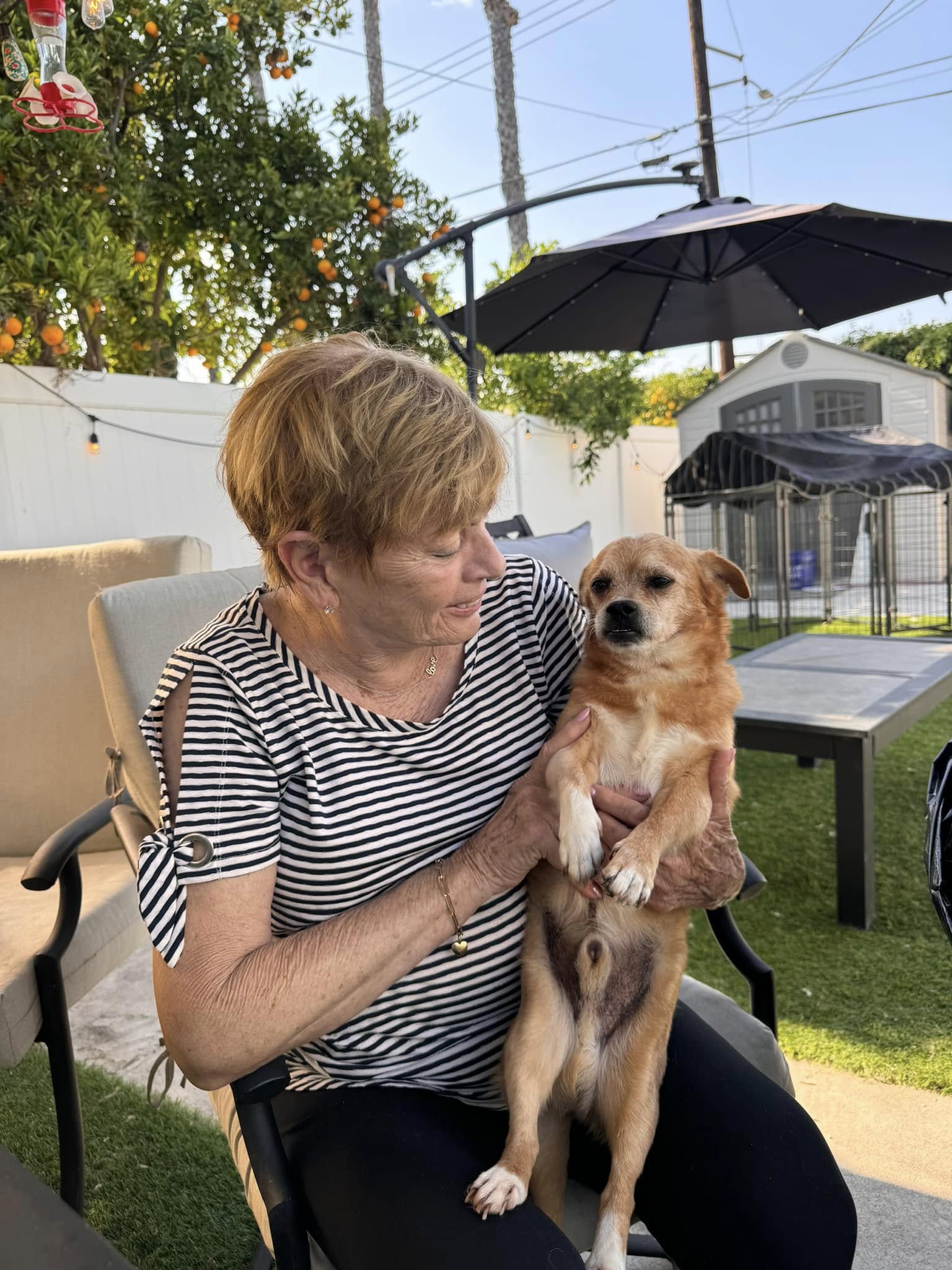 old woman and tiny brown dog