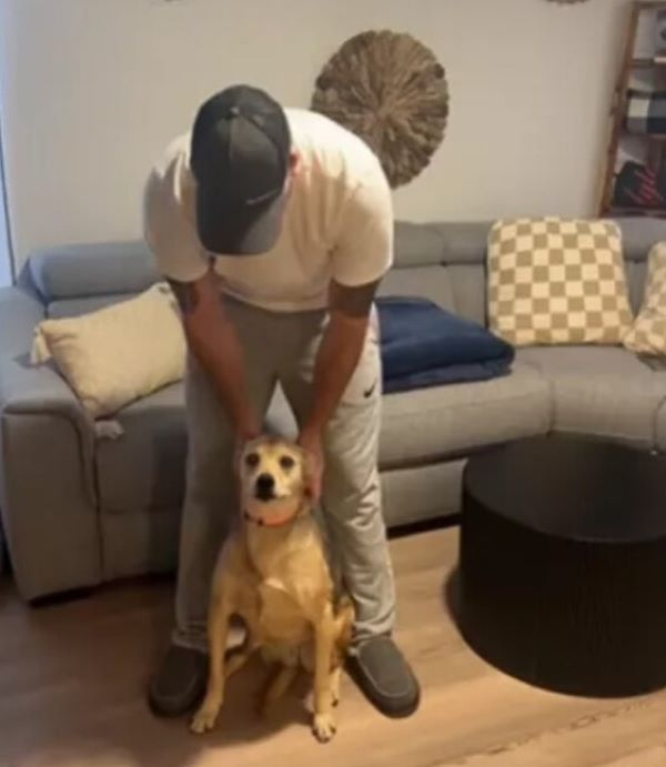 owner and dog