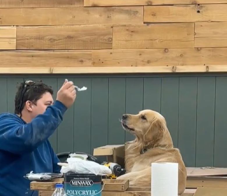 owner and dog