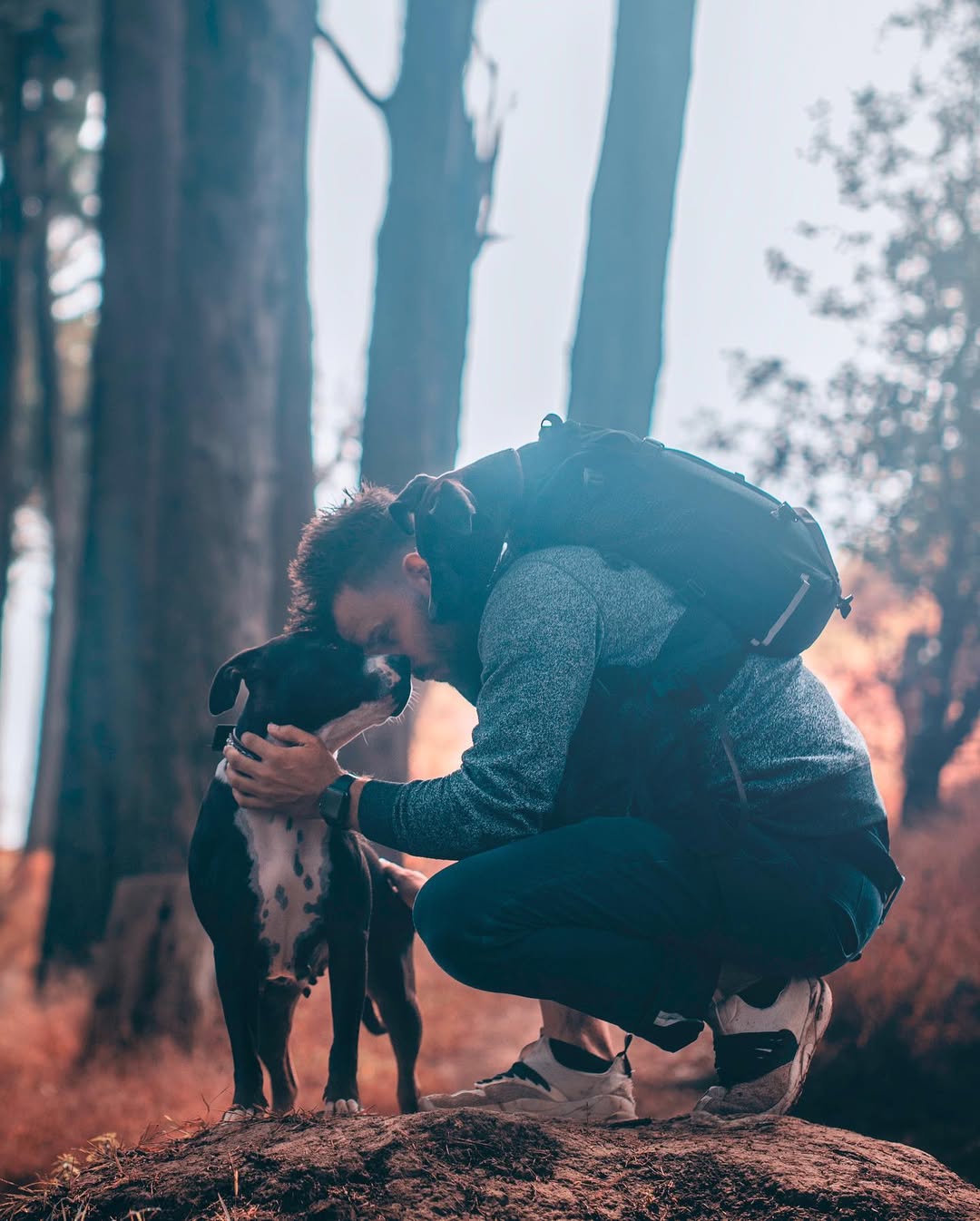 owner and dog in forest