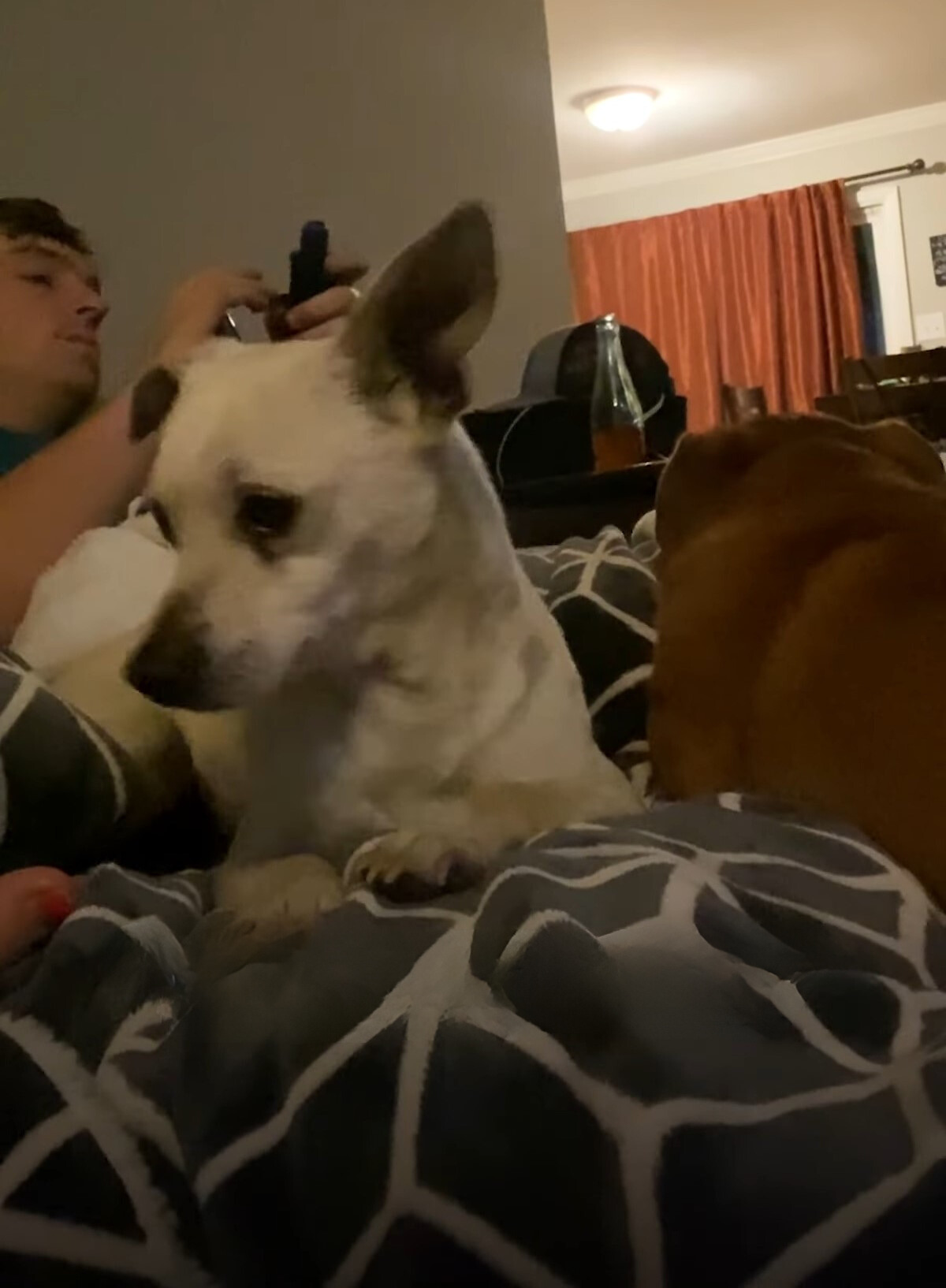 owner and dog in house