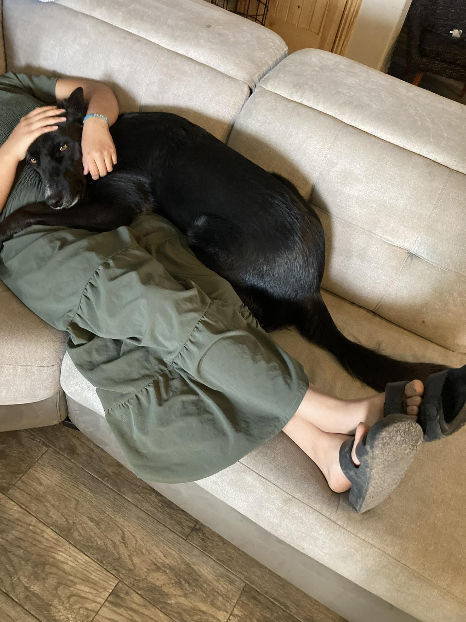 owner and dog laying on couch