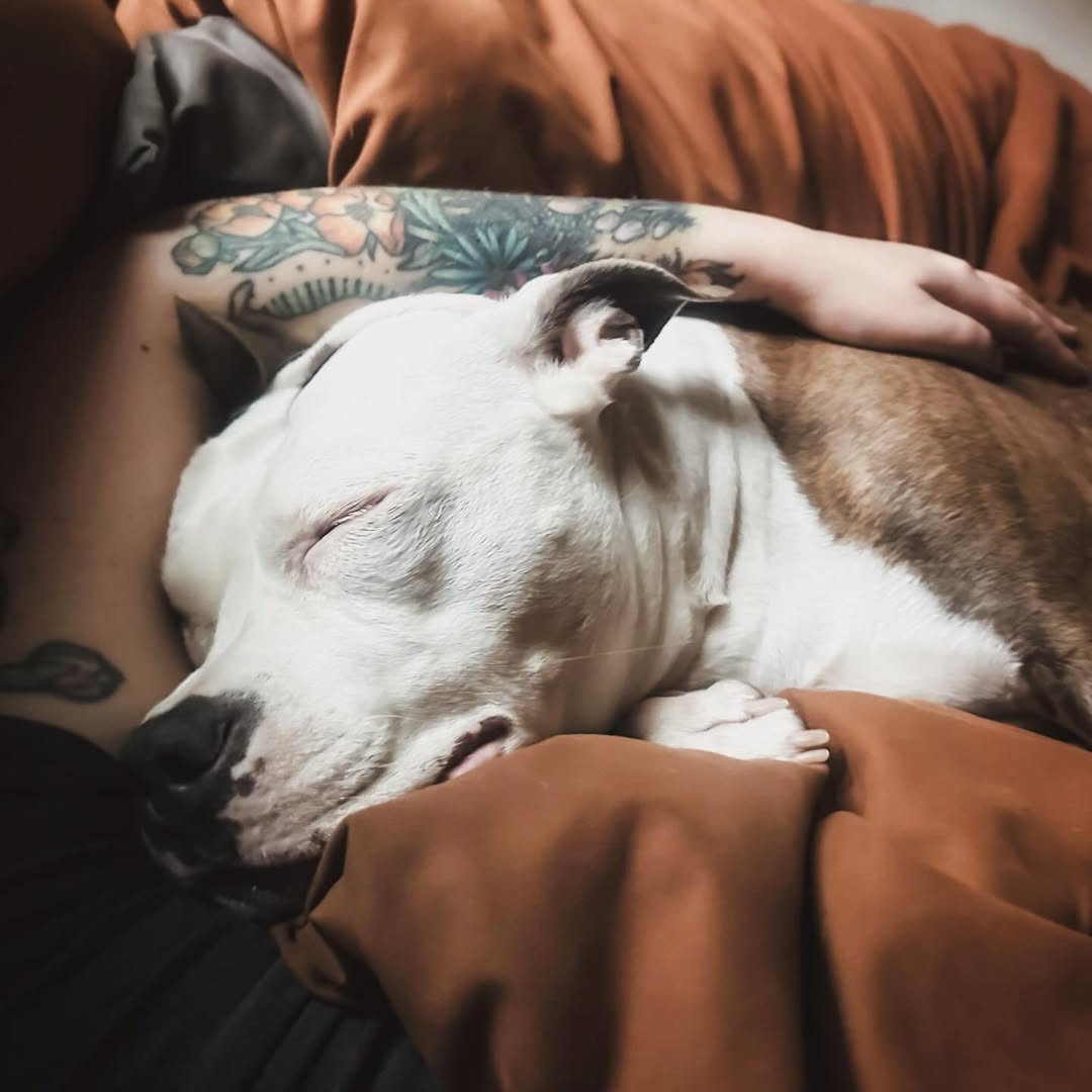 owner and dog sleeping