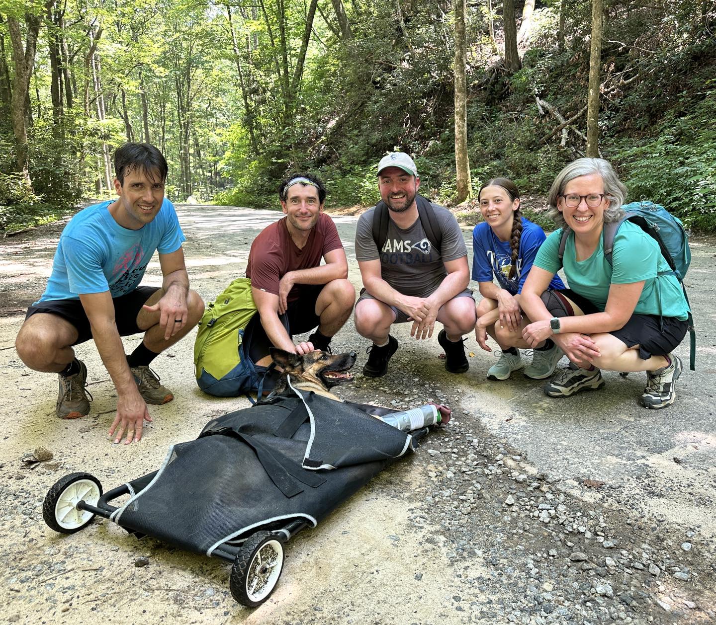 people and injured dog in forest
