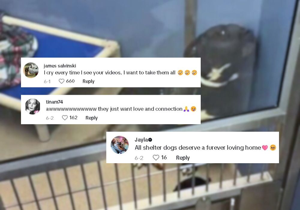 people comments