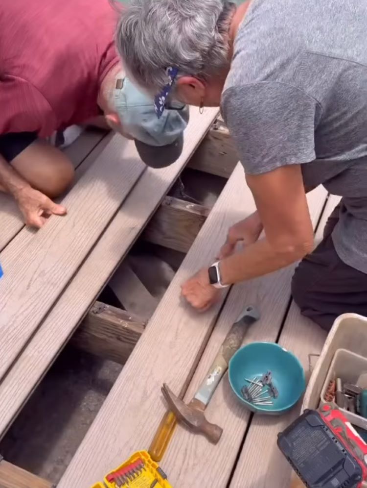 people saving a dog