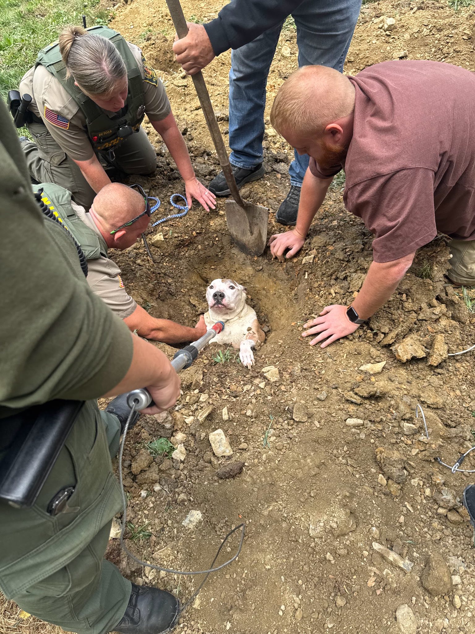 people saving trapped dog