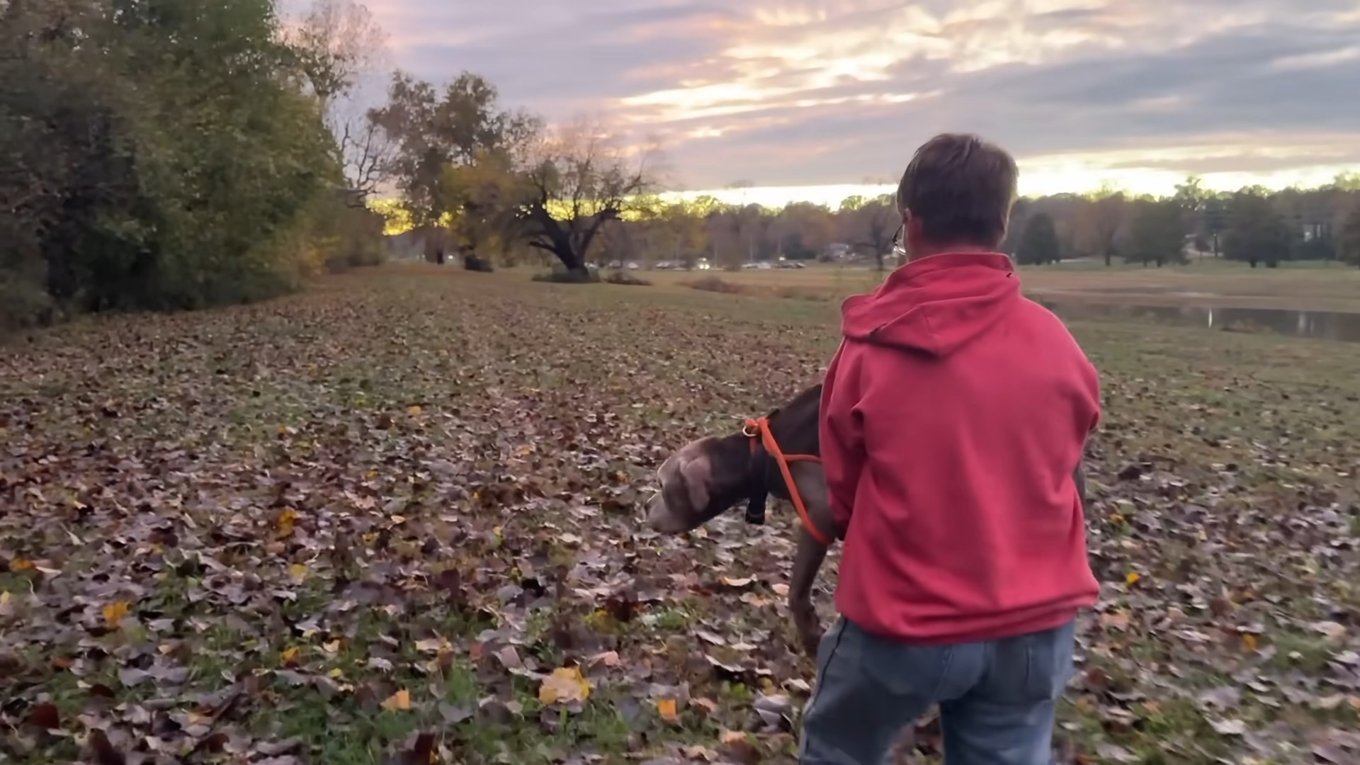 person holding a dog through the field