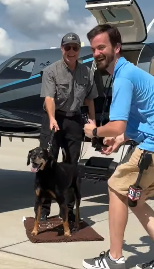 pilot and dog