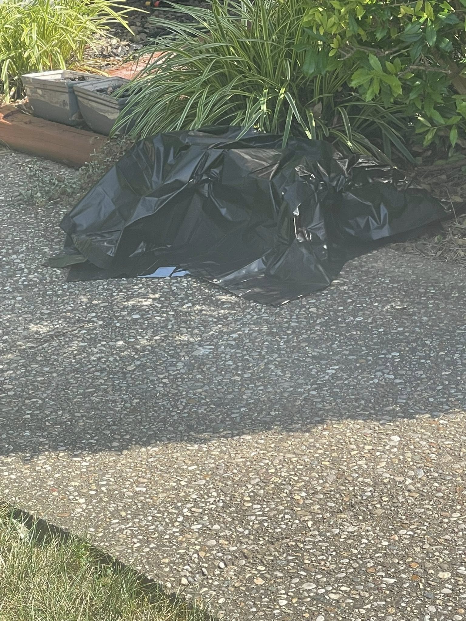 plastic bag