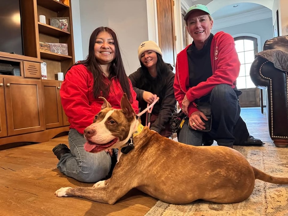 rescue dog with caregivers