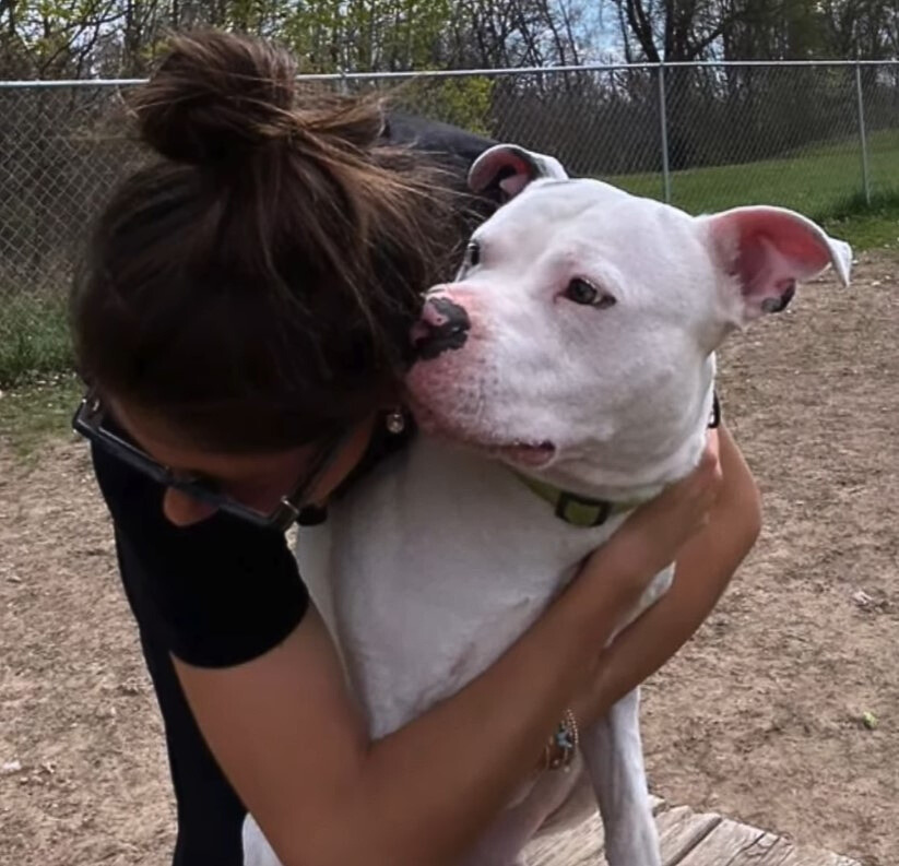 rescue dog with volunteer