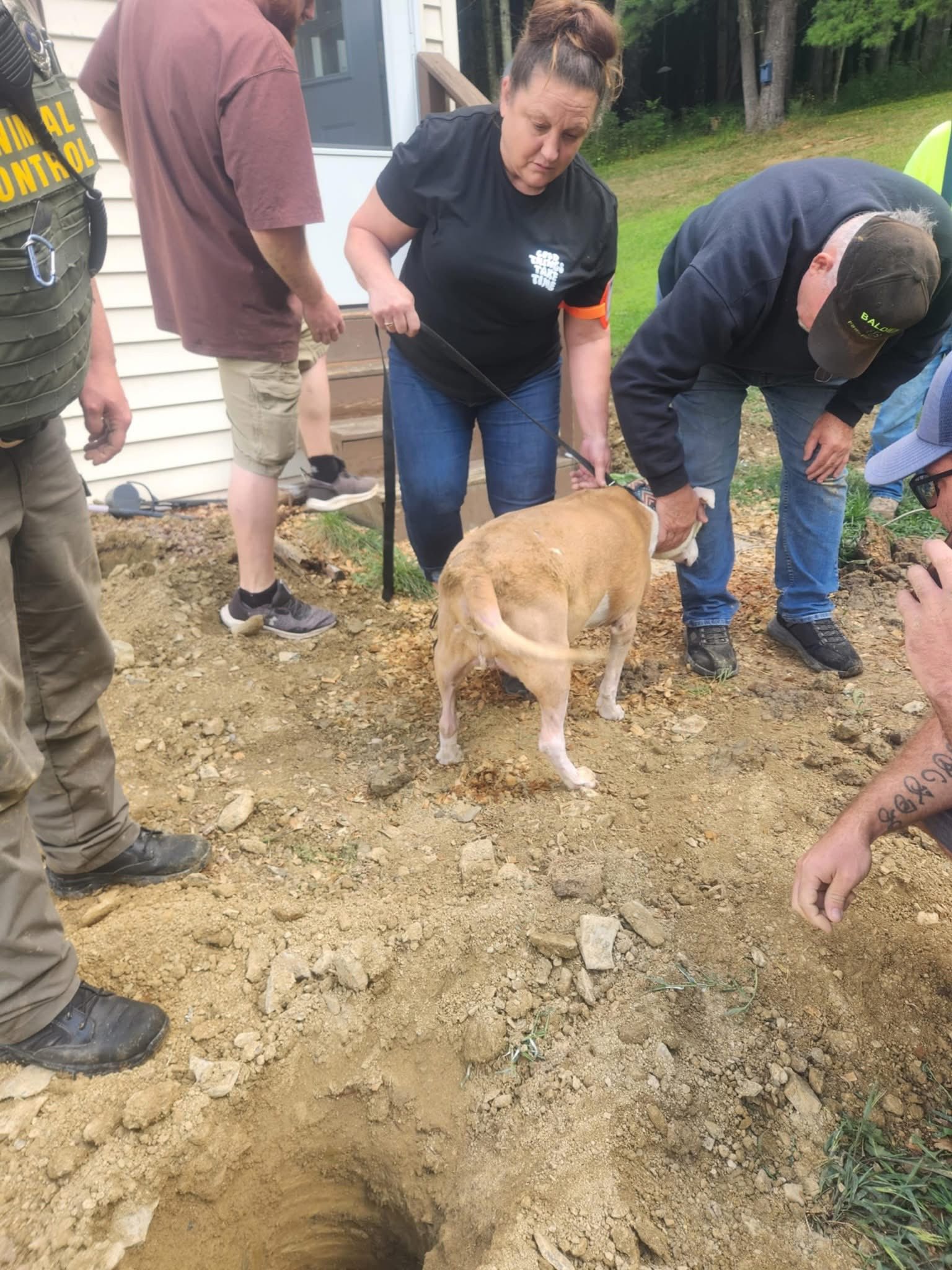 saved dog