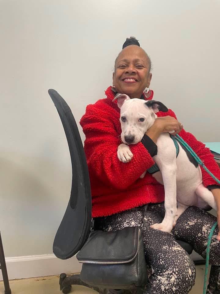 shelter dog adopted by new mom