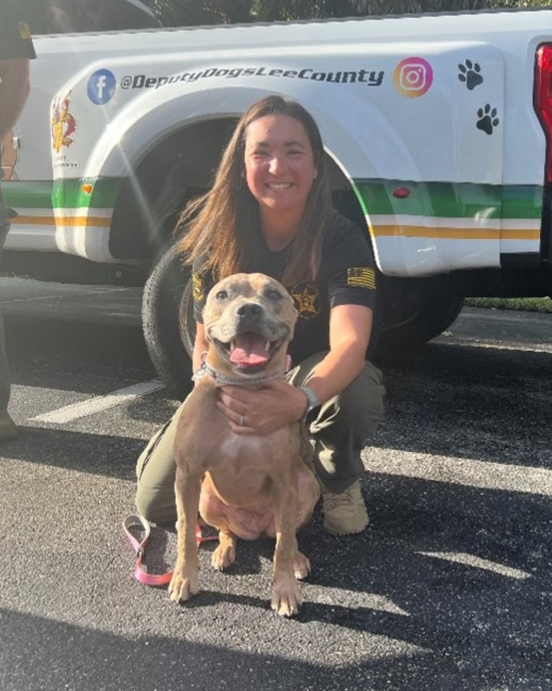 shelter dog adopted