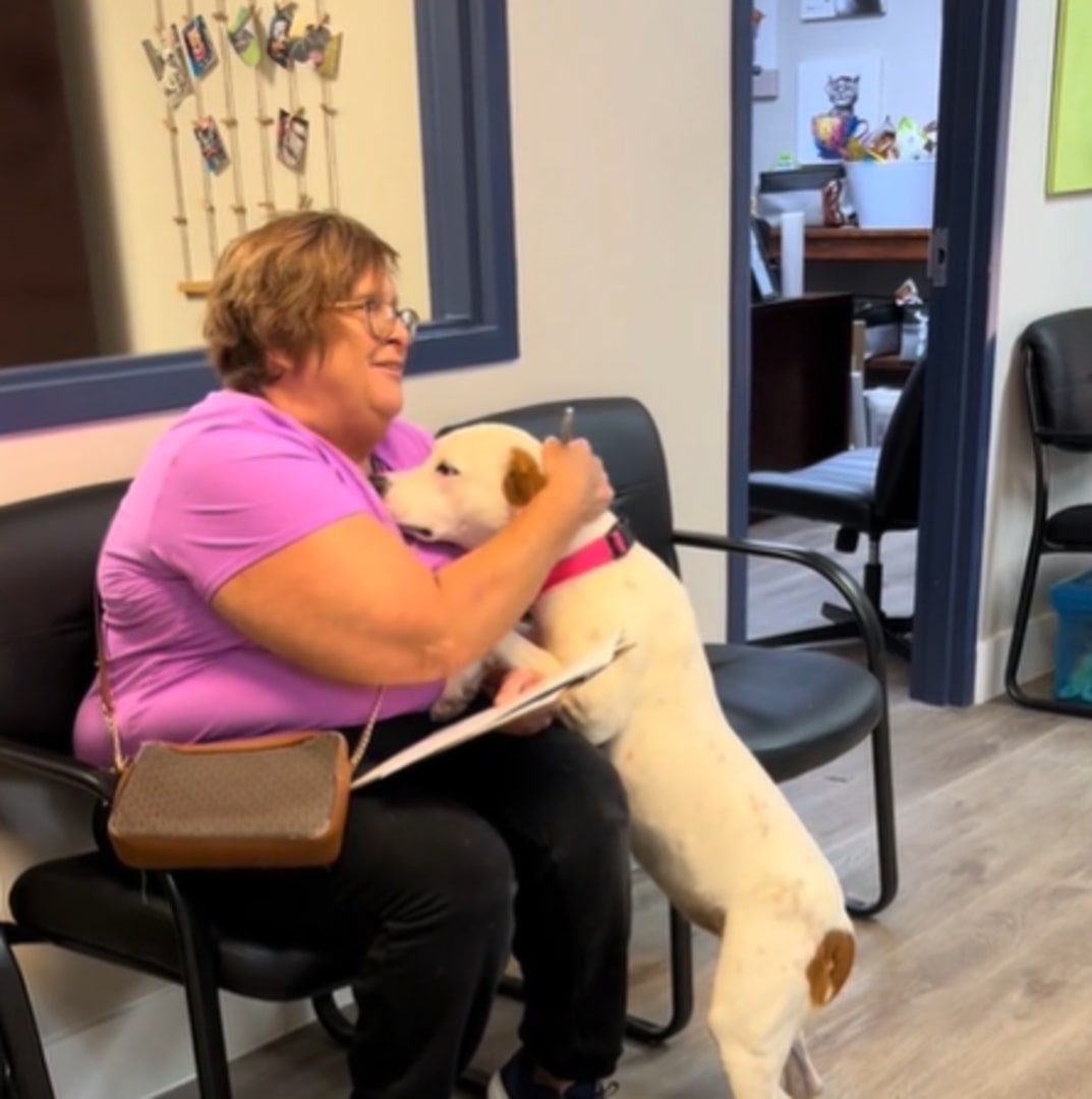 shelter dog hugs woman