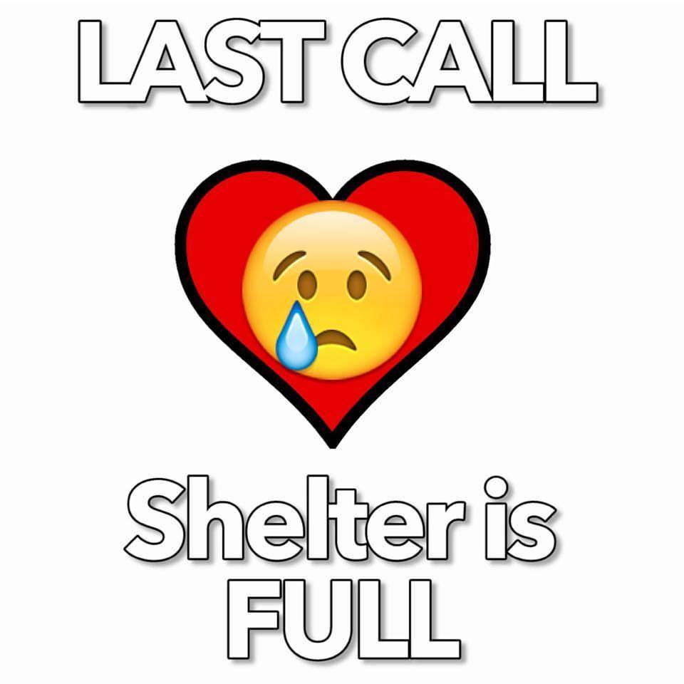 shelter post