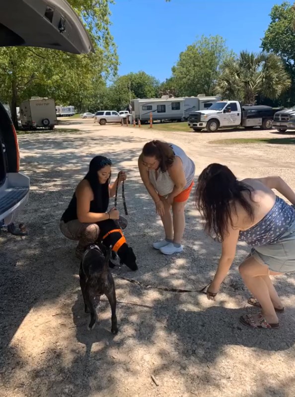three women and two dogs