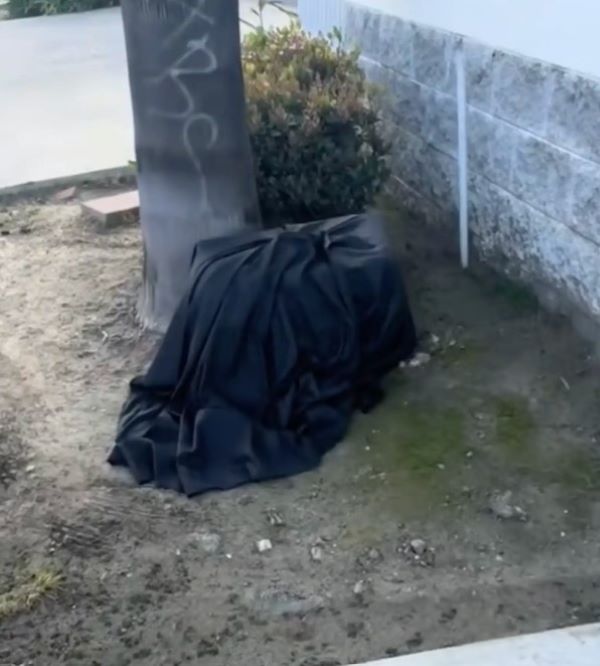 thrown out bag
