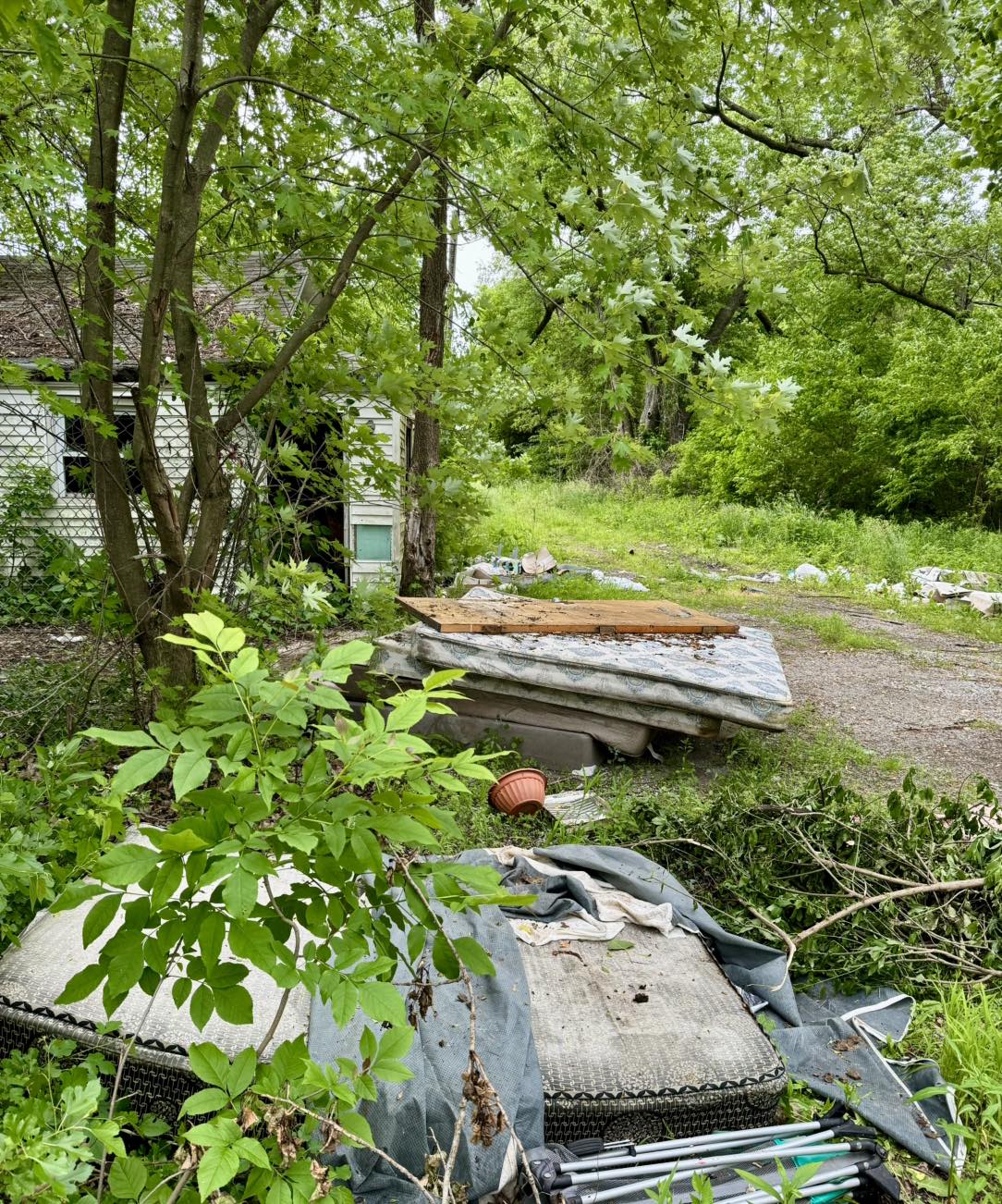 trash in nature