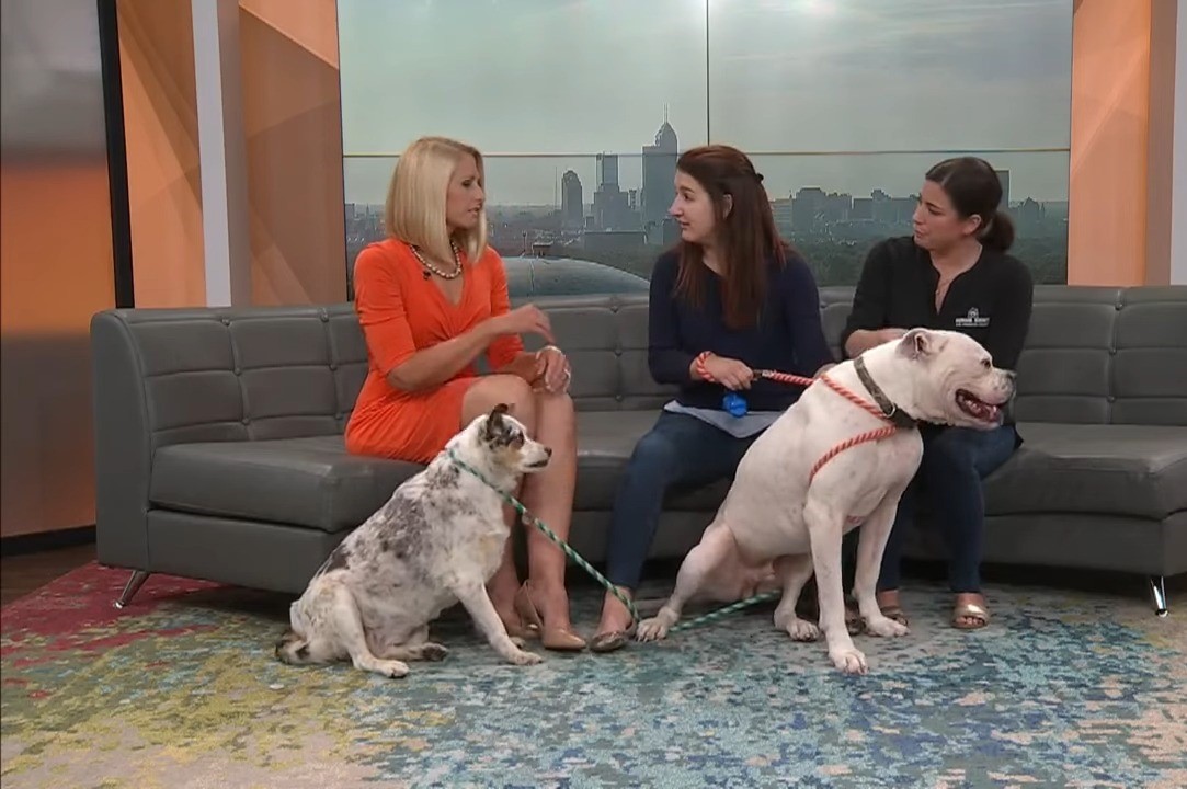 two dogs and three women