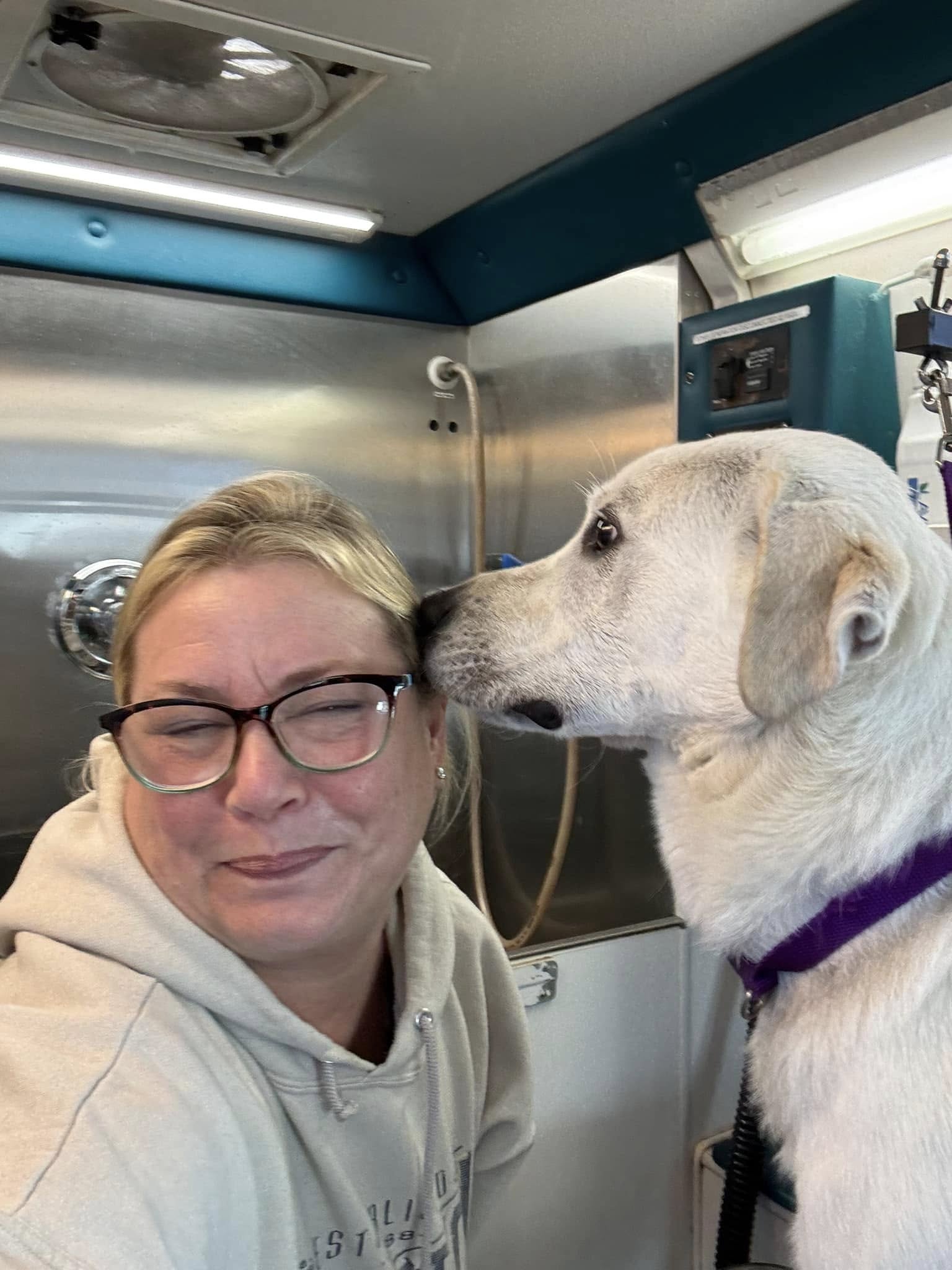 white dog licking womans head
