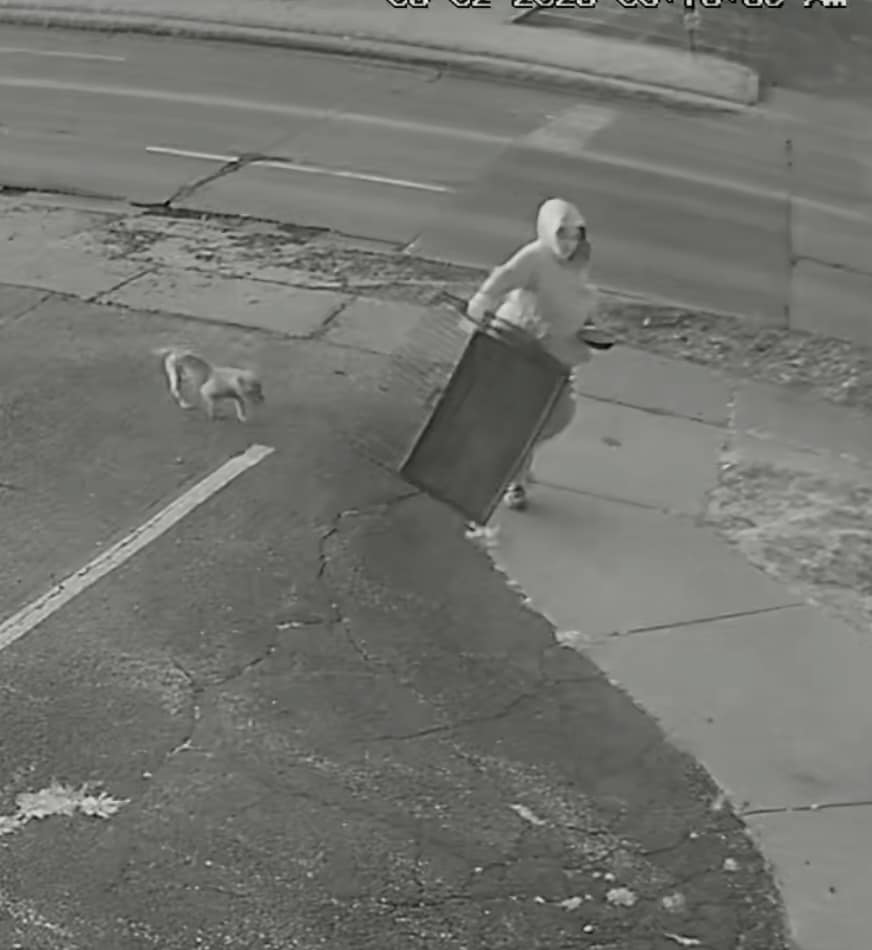woman abandoning a dog