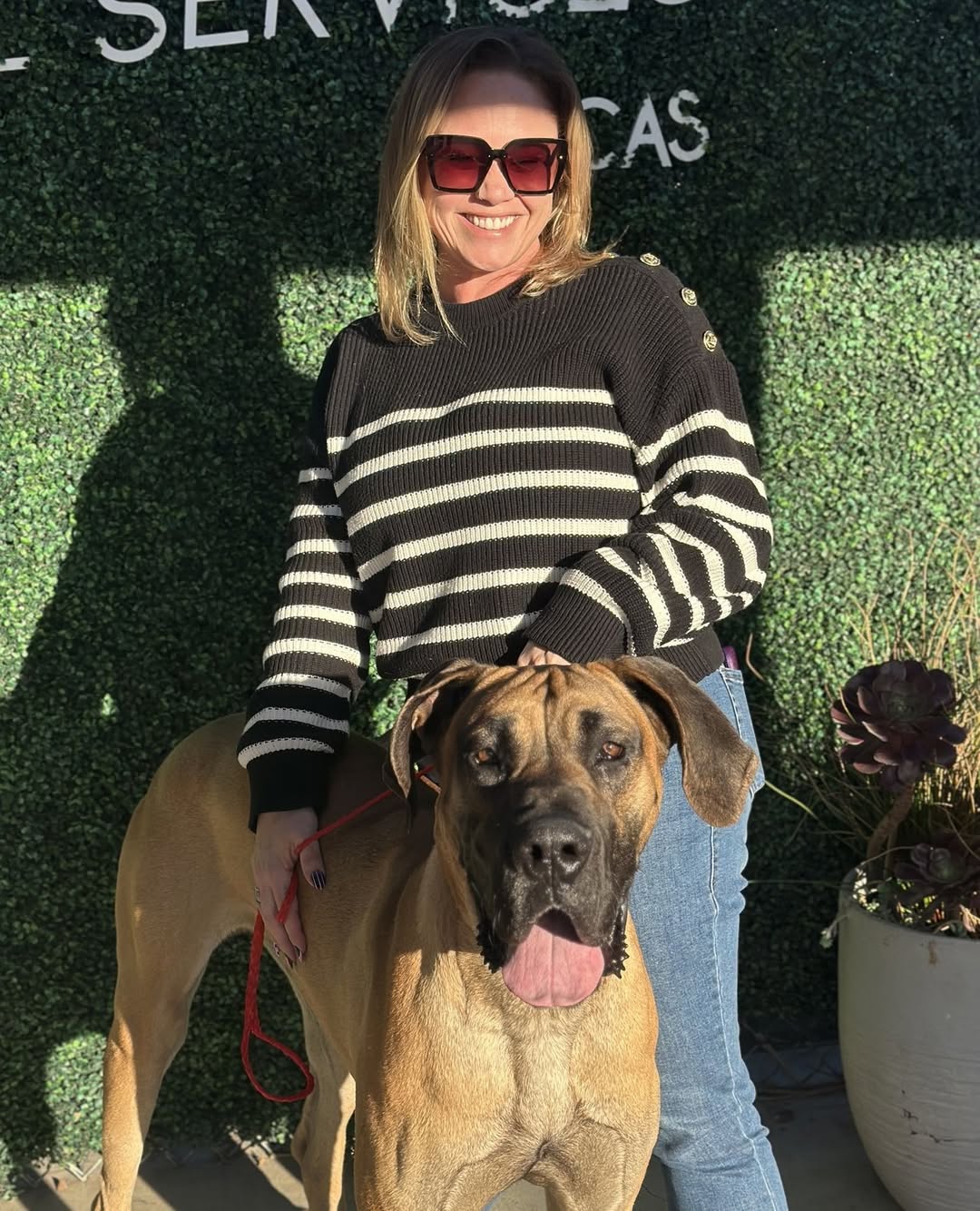 woman adopted a big dog