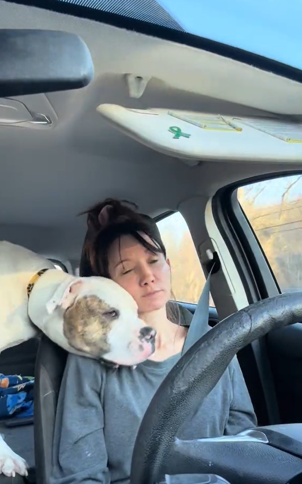 woman and adopted dog in car