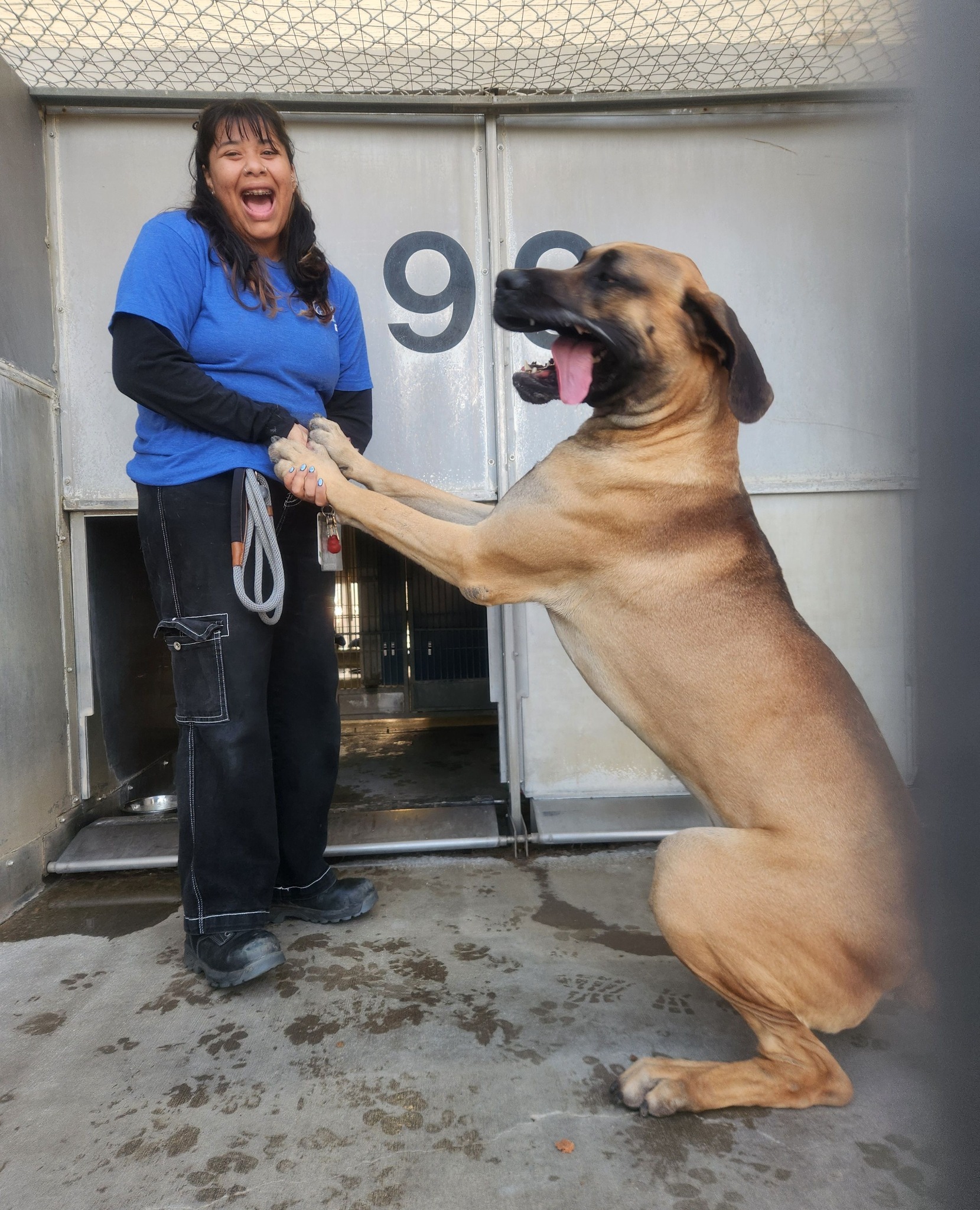 woman and big dog