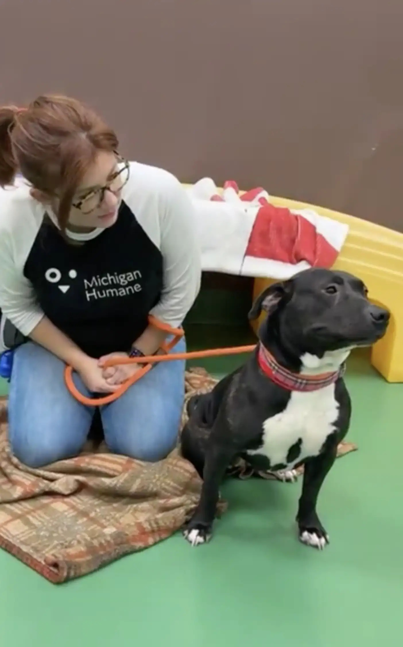 woman and black dog
