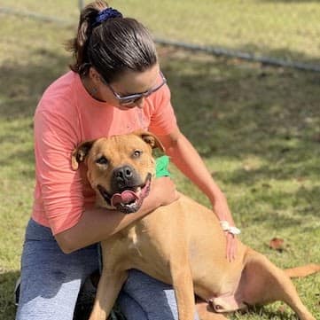 woman and brown dog