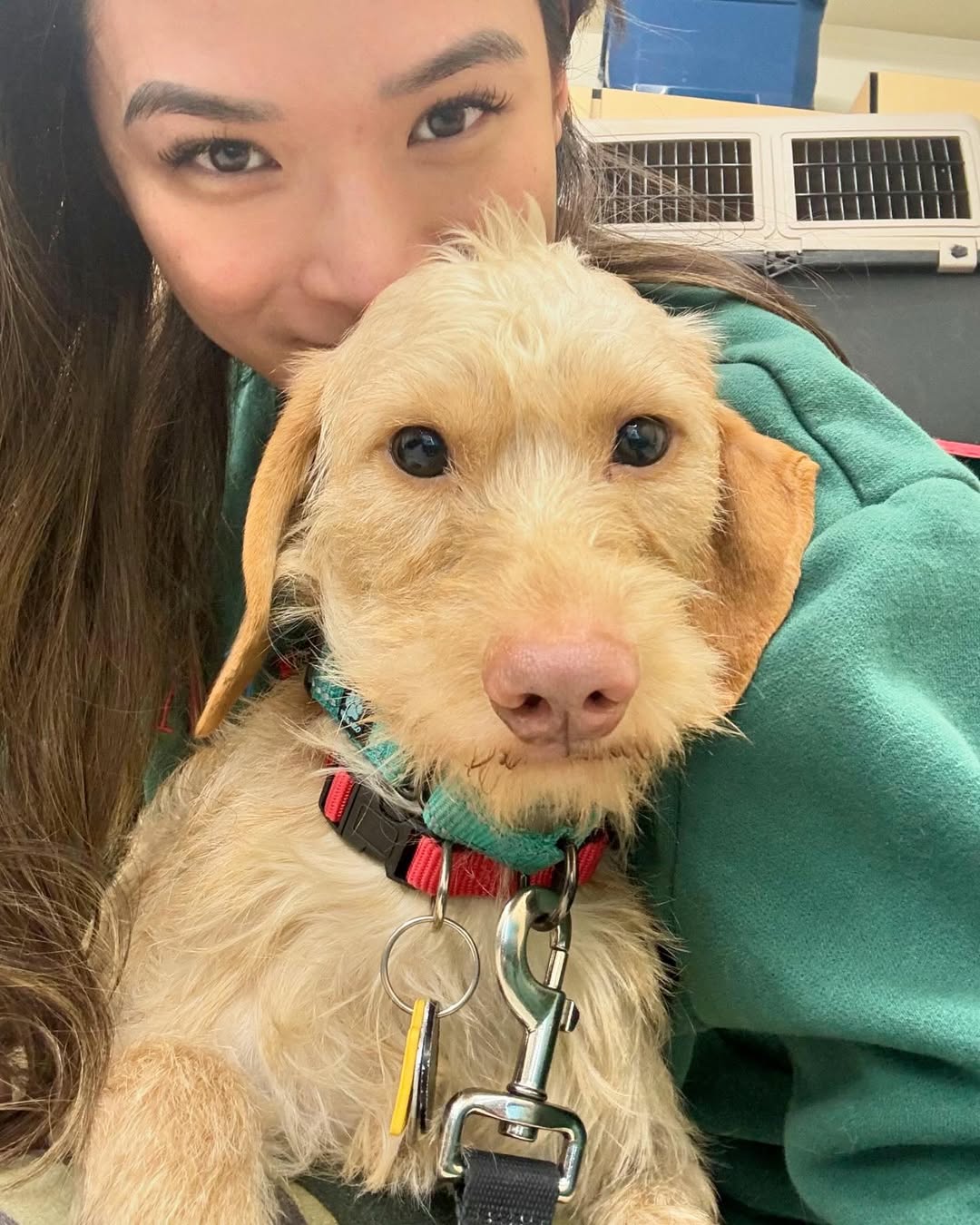 woman and cute dog