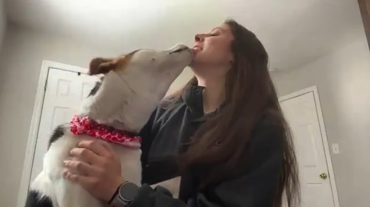 woman and dog