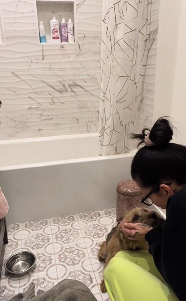 woman and dog in bathroom