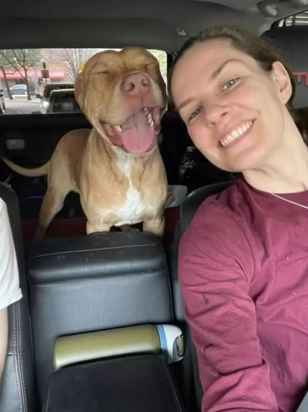 woman and dog in car
