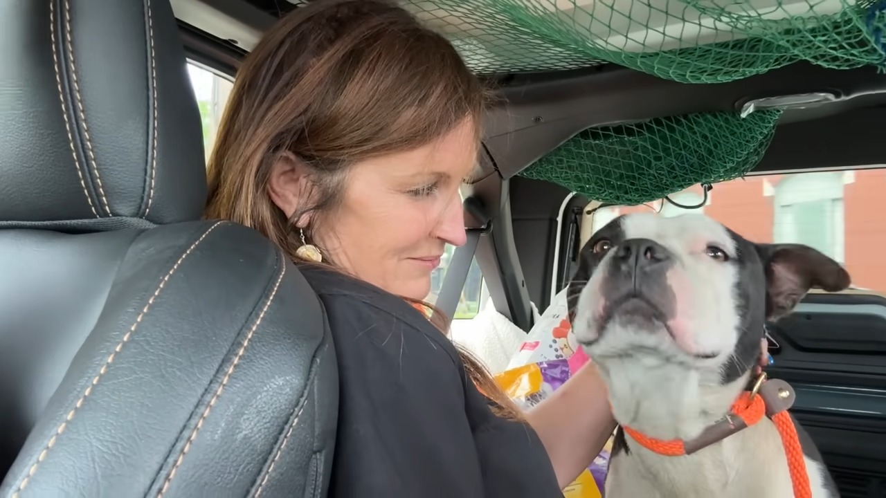 woman and dog in car